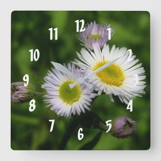 Fleabane Tiny Daisies Flower Square Wall Clock (Front)