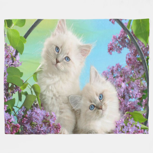Fleece Blanket/Kittens Blanket (Front (Horizontal))