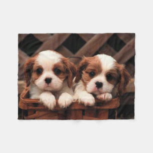 Fleece Blanket/Puppies Blanket