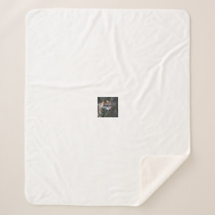 Fleece & Sherpa Blanket 