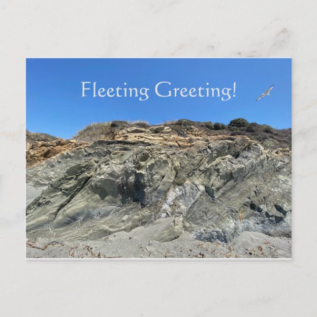 Fleeting Greeting! Postcard (Front)