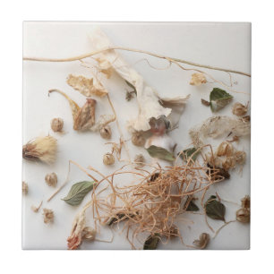 Fleeting moment tile