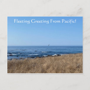 FleetingGreeting From Pacific! Postcard