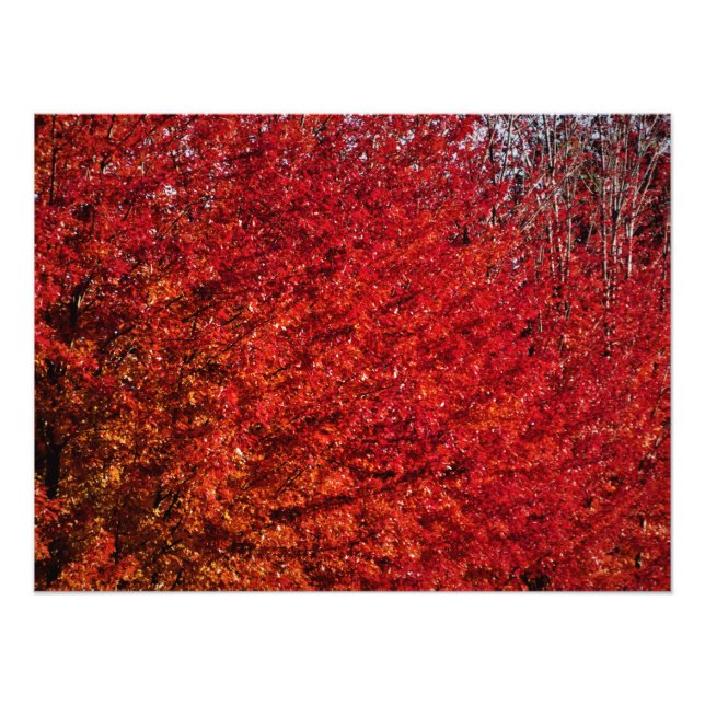 "Flesh and Bone" Photo Print (Front)