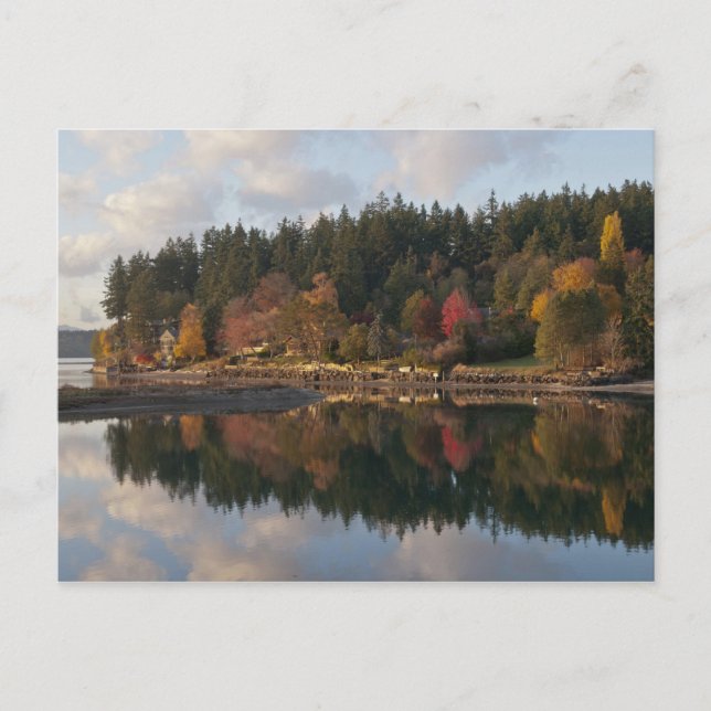 Fletcher Bay Postcard (Front)