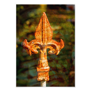 Fleur De Lis in Rust Photo Print