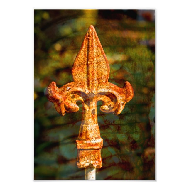 Fleur De Lis in Rust Photo Print (Front)