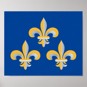 Fleur de Lis symbol Poster