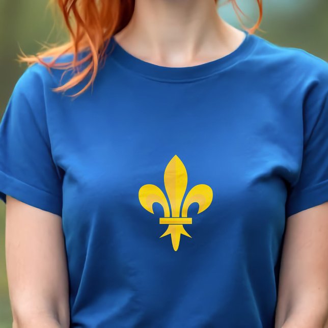 Fleur de Lis Women's T-Shirt (Fleur de Lis Women's T-Shirt)