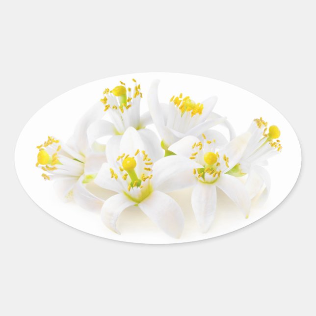 Fleur d'oranger oval sticker (Front)