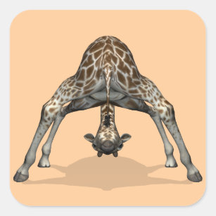 Flexible Giraffe Square Sticker
