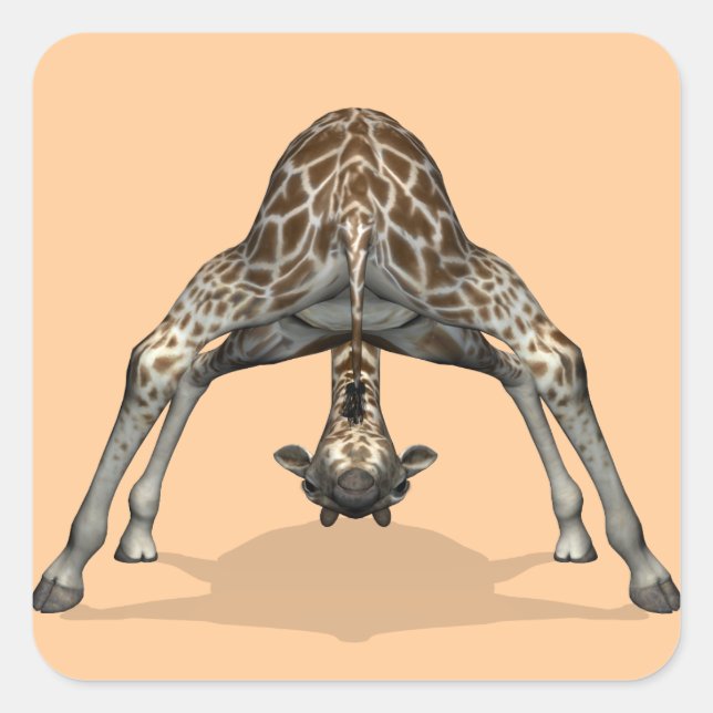 Flexible Giraffe Square Sticker (Front)