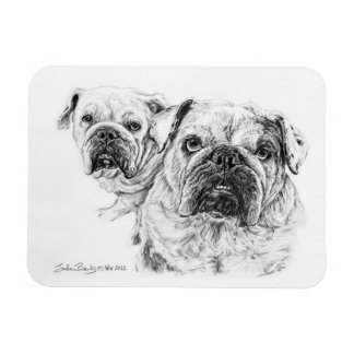 Flexible Magnet of The Bald Divas!