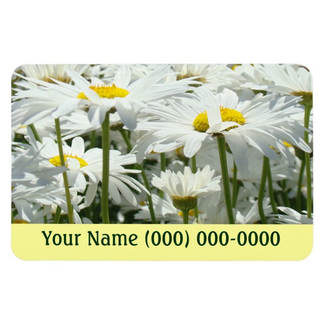Flexible Magnets Advertising Your Name Phone (Horizontal)