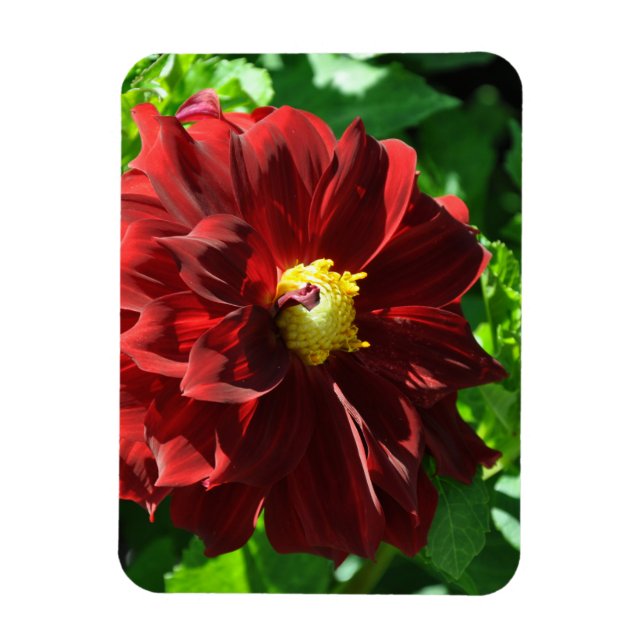 Flexible Photo Magnet (Vertical)