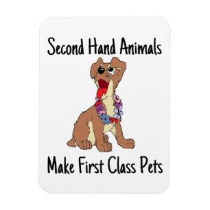 Flexible Photo Magnet