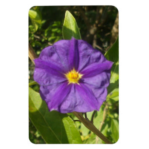 Flexible Photo Magnet purple eco