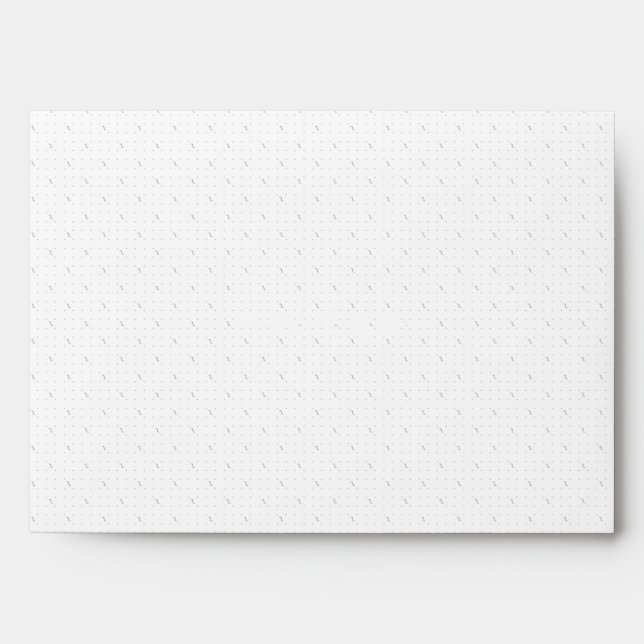 FlexiSeal EnvoPack Envelope (Front)