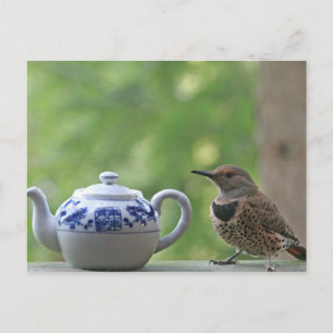 Flicker and Teapot Postcard