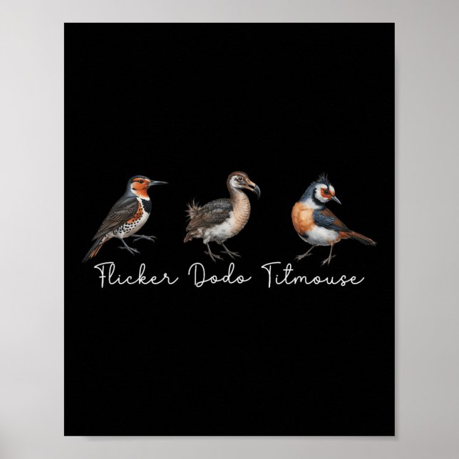Flicker Dodo Titmouse Funny Bird Clever Birdwatche Poster (Front)