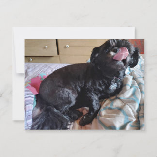 Flicker of the Tongue Postcard