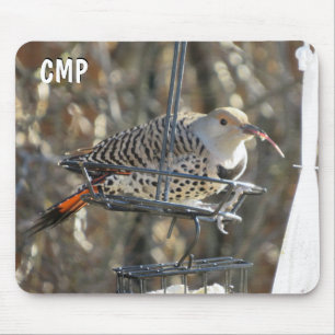 Flicker with a Long Tongue Mouse Pad