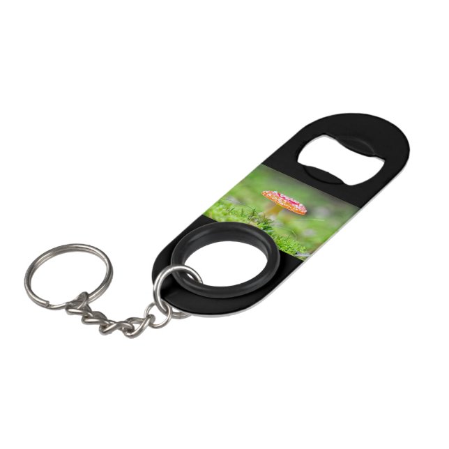 Fliegenpilz (Front Angled)