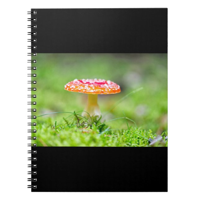Fliegenpilz Notebook (Front)