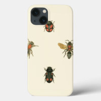 Flies and Beetles by Vision Studio