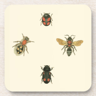 Flies and Beetles by Vision Studio Coaster