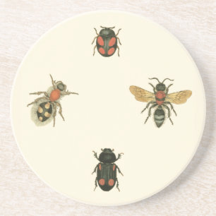 Flies and Beetles by Vision Studio Coaster