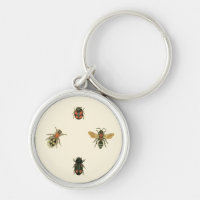 Flies and Beetles by Vision Studio