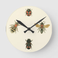 Flies and Beetles by Vision Studio