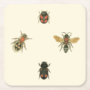 Flies and Beetles by Vision Studio Square Paper Coaster