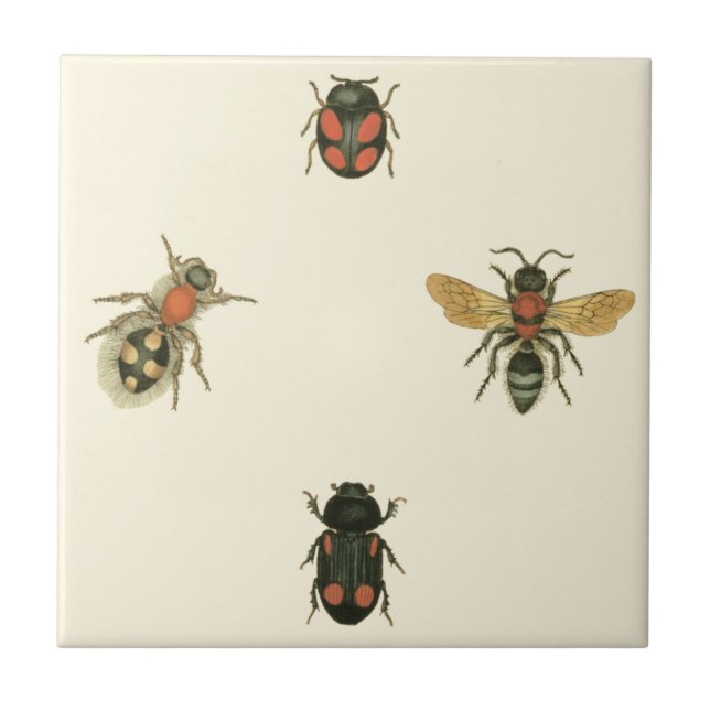 Flies and Beetles by Vision Studio Tile (Front)