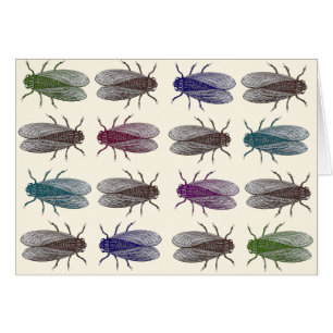 Flies / Fruit Flies from Diderot's Encyclopaedia