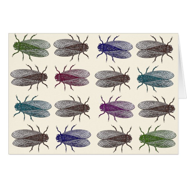 Flies / Fruit Flies from Diderot's Encyclopaedia (Front Horizontal)