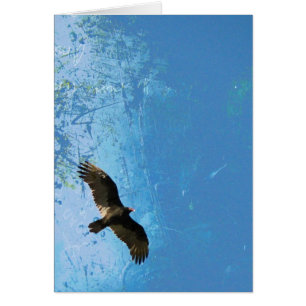 Flight