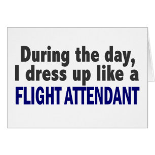 Flight Attendant During The Day