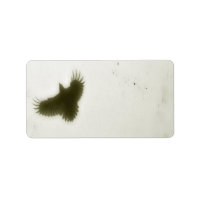 Flight Of A Vintage Crow