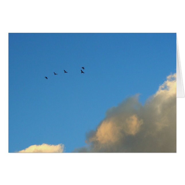 Flight of geese (Front Horizontal)
