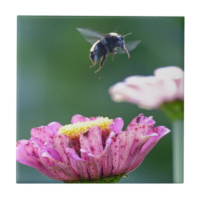 Flight of the Bumblebee Tile (Front)