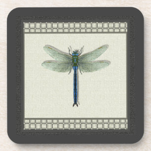 Flight of the Dragonfly Coaster