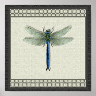 Flight of the Dragonfly Print