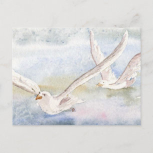 'Flight of the Gulls' Postcard