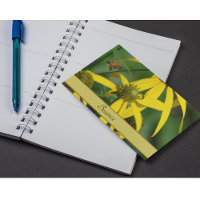 Flight of the honeybee