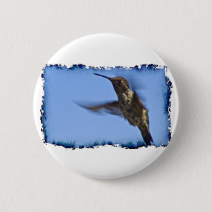 Flight of the Hummingbird 6 Cm Round Badge