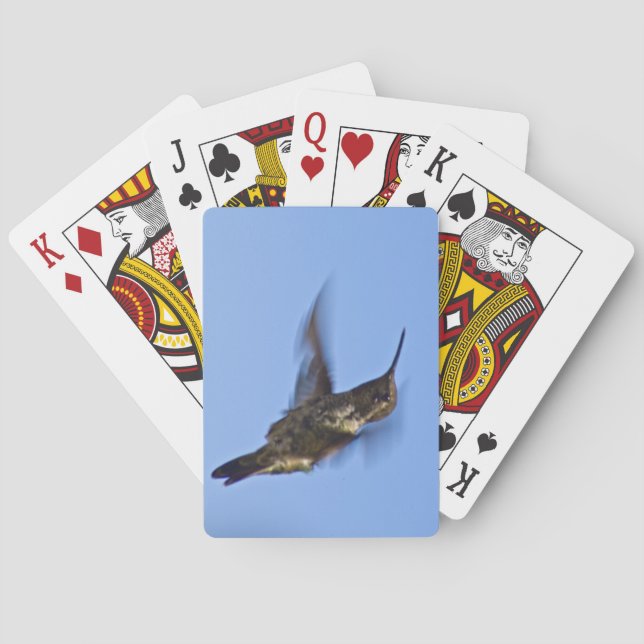 Flight of the Hummingbird Playing Cards (Back)