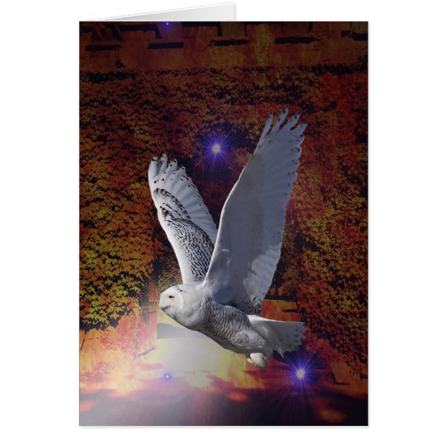 Flight of the Night Owl. (Front)