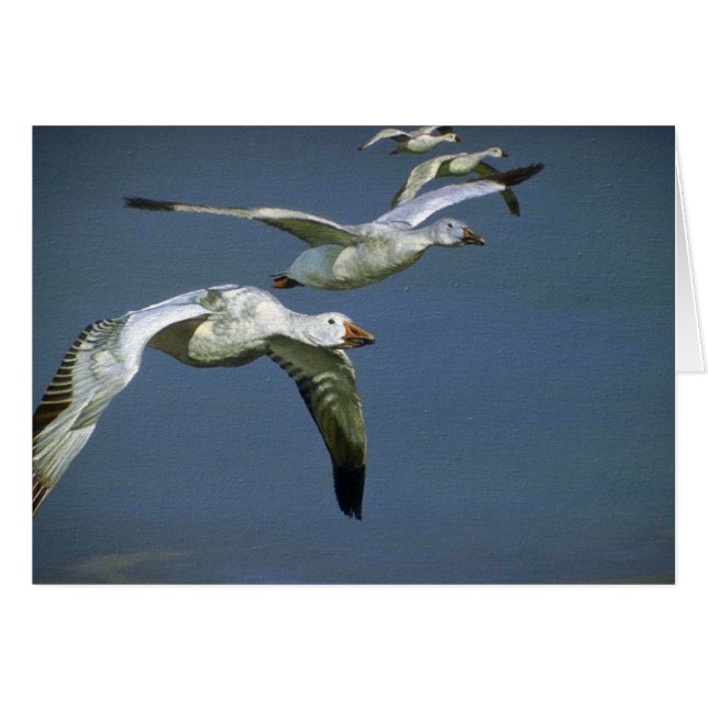 Flight of the Snow Geese (Front Horizontal)